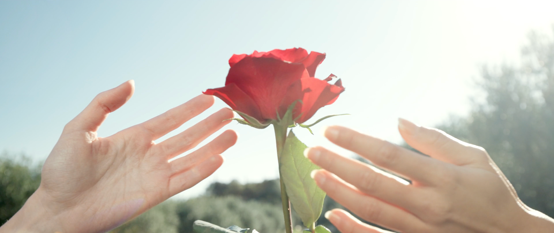 Côte des Roses