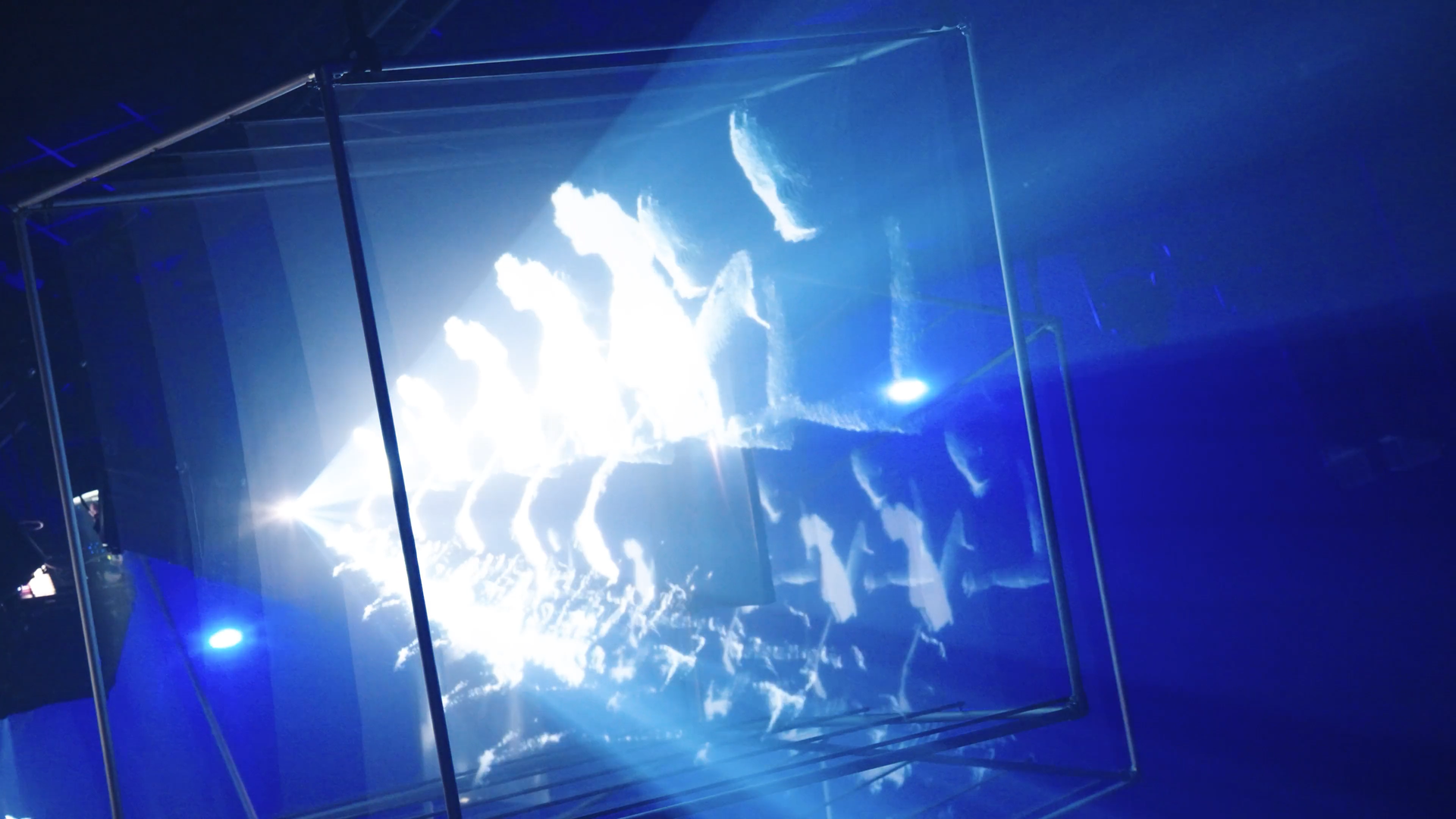 ABSOLUT TACC / SYMBIOSE